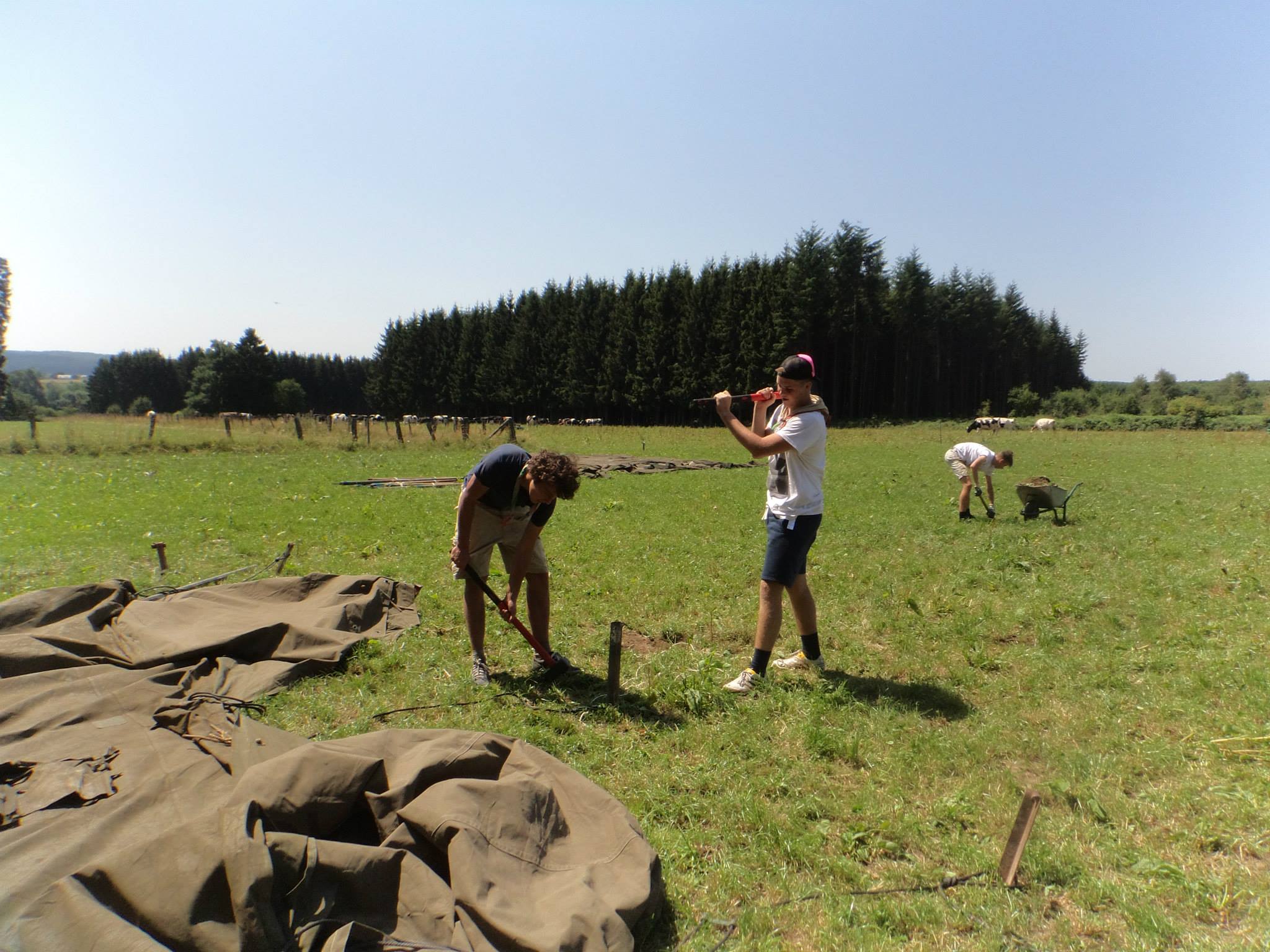 Sint-Martinus den XIIde - Jin Bras-Haut 2015